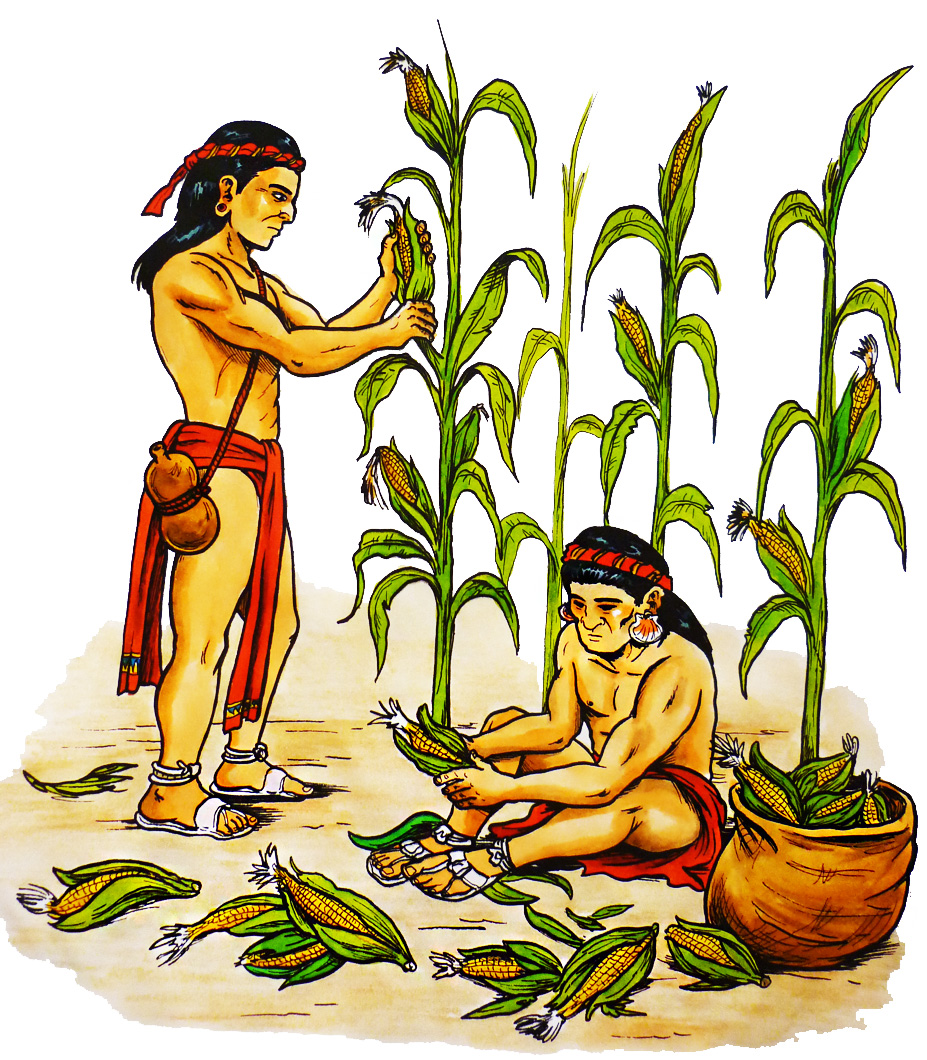 HISTORIA GEOGRAFÍA Y CIENCIAS SOCIALES CUARTO BÁSICO