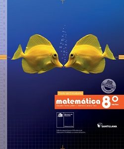 OAs MATEMÁTICAS OCTAVO BÁSICO 2025